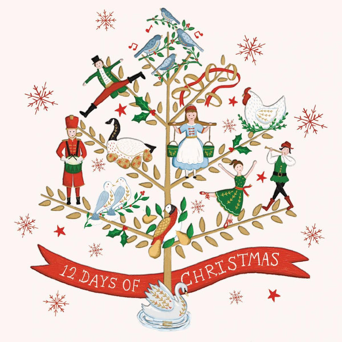 12 Days of Christmas - Pack of 10 Tear Fund Christmas Cards, With Bible Verse Matthew 1:22-23