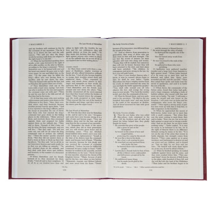 Apocrypha Text Edition, Hardback New Revised Standard Version (NRSV), by Cambridge Bibles