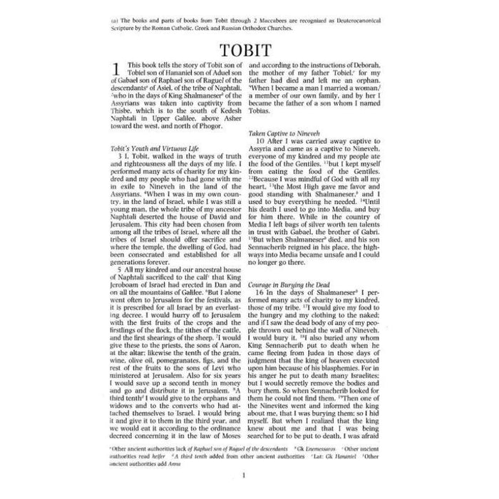 Apocrypha Text Edition, Hardback New Revised Standard Version (NRSV), by Cambridge Bibles