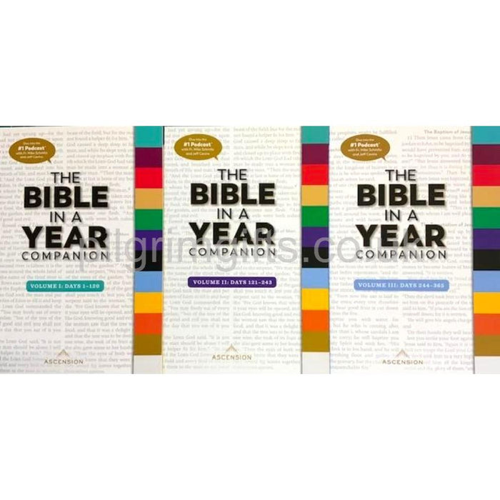 The Bible in a Year Companion: 3 Volume Set, by Fr. Mike Schmitz