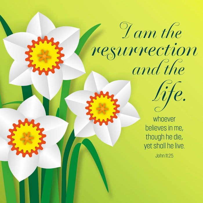 Easter Greetings Cards Pack of 5, I Am The Resurrection and The Life, With Bible Verse On the Inside John 11:25