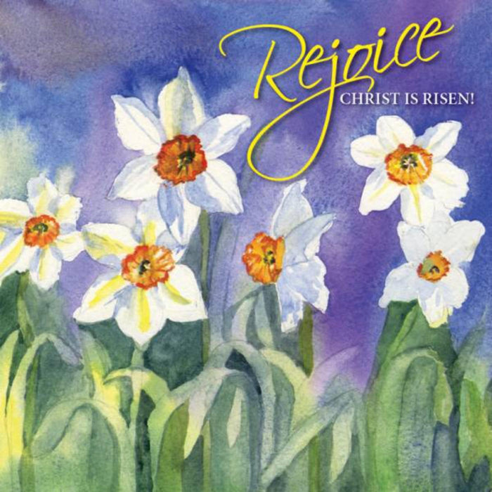 Easter Greetings Cards Pack of 5 Rejoice! Christ is Risen, With Bible Verse On the Inside Matthew 28:6