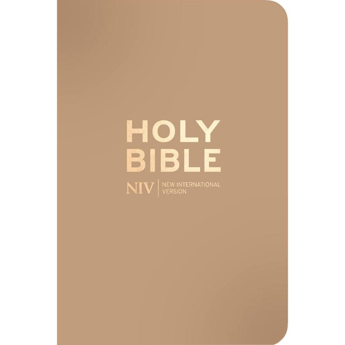 A minimalist Holy Bible cover in a warm Latte, tan or camel color with gold foil lettering that reads 'HOLY BIBLE' and 'NIV NEW INTERNATIONAL VERSION'.