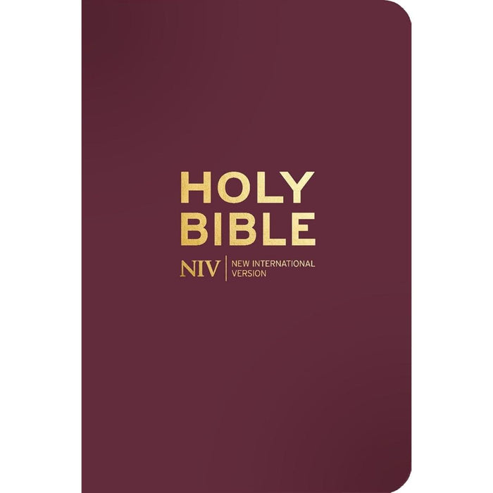 NIV Pocket Mulberry Bible with Gold Zip - British Text