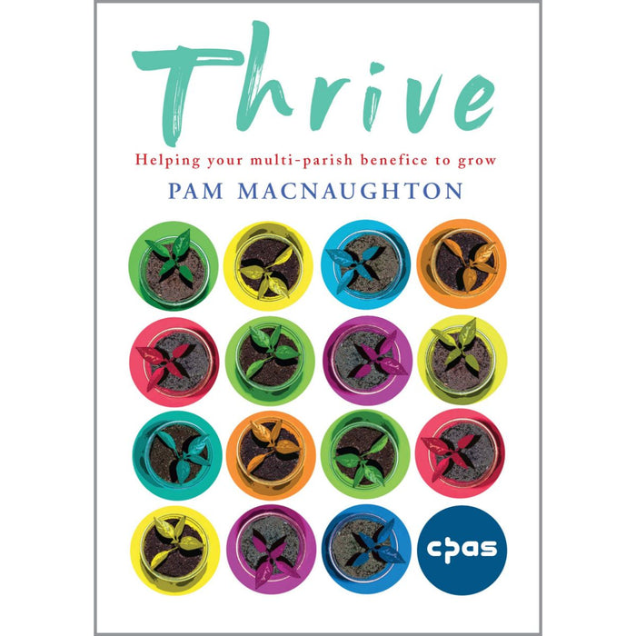 Thrive, Helping Your Multi-Parish Benefice To Grow, by Pam Macnaughton
