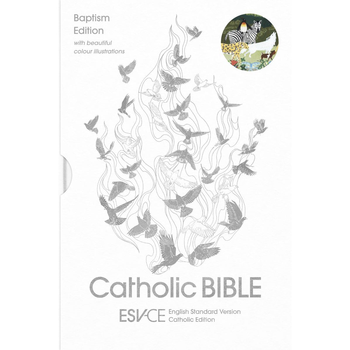 ESV-CE Catholic Bible Baptism Edition - Anglicized British Text ...
