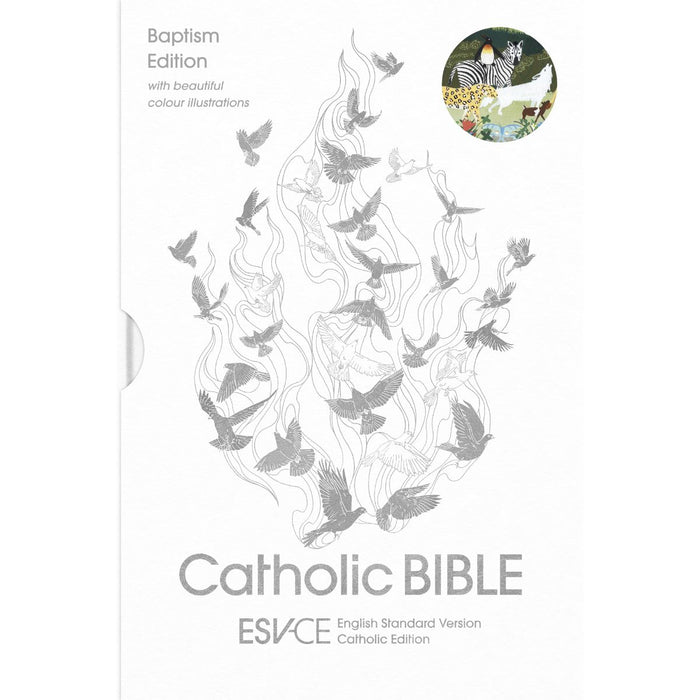 ESV-CE Catholic Bible, Anglicized Baptism Edition with beautiful colour illustrations with slipcase (ESV-CE, English Standard Version-Catholic Edition)