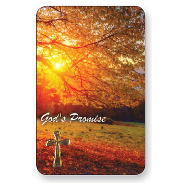 Gods Promise, Laminated Prayer Card