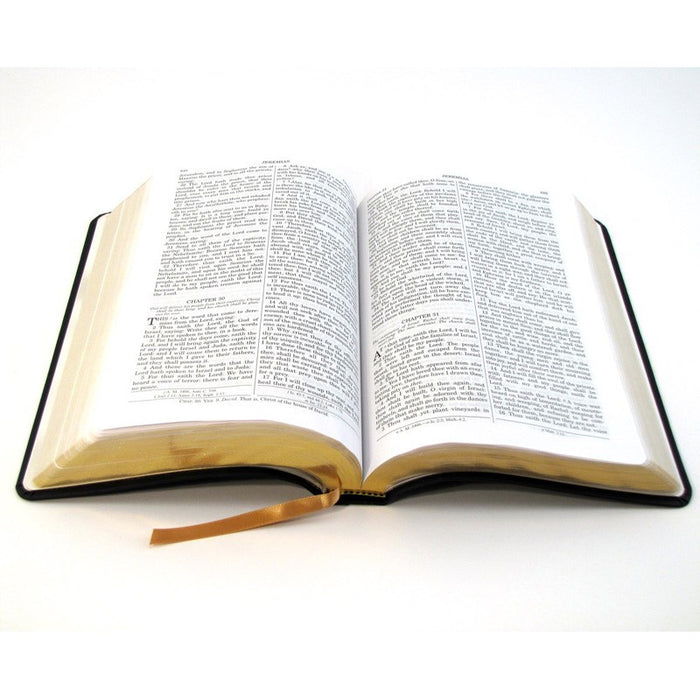 Douay-Rheims Catholic Bible, Words of Christ In Red, Burgundy Premium UltraSoft Binding, by St. Benedict Press