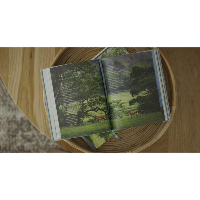 ESV Psalms, Hardback Photography Edition With Slipcase, by English Standard Version