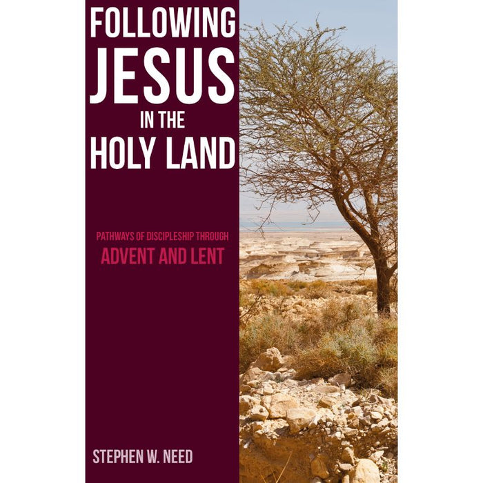Following Jesus in the Holy Land, Pathways of Discipleship through Advent and Lent, by Stephen Need