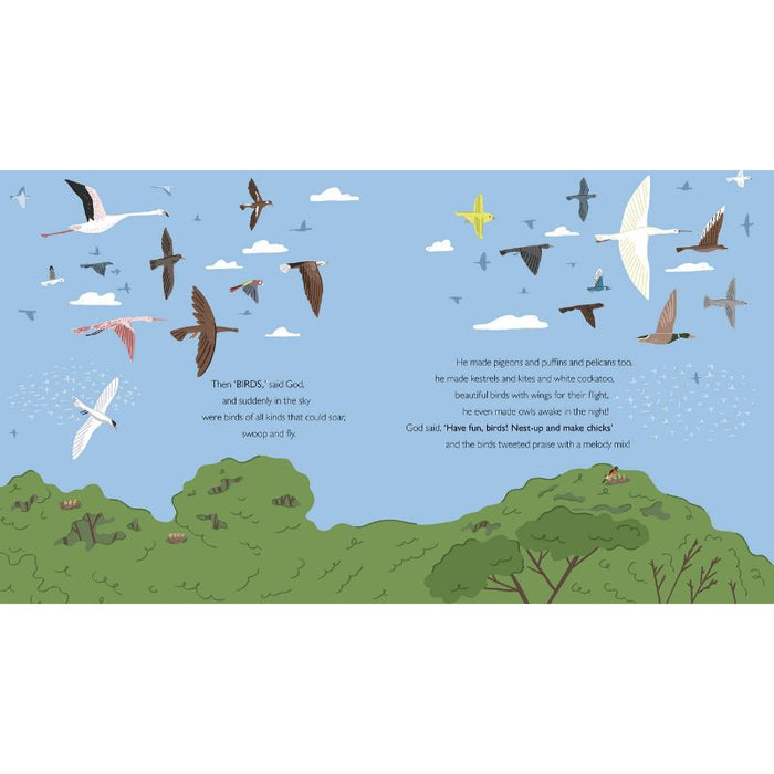 God's Brilliantly Big Creation Story, by Dai Woolridge