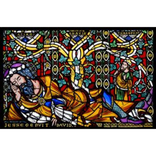 Church Stained Glass, Jesse Tree Panel, St Mary's Church Shrewsbury, Stained Glass Window Transfer 19.2cm Wide