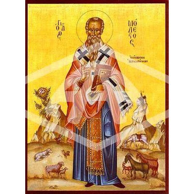 St Modestus St. Modestus Archbishop of Jerusalem - Mounted Icon Print - Size 20cm x ...