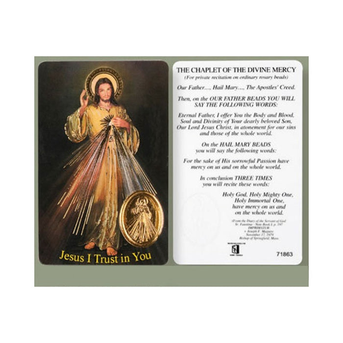 Jesus The Divine Mercy Chaplet, Laminated Prayer Card