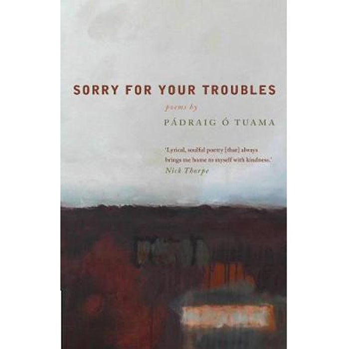 Sorry For Your Troubles, by Pádraig Ó Tuama